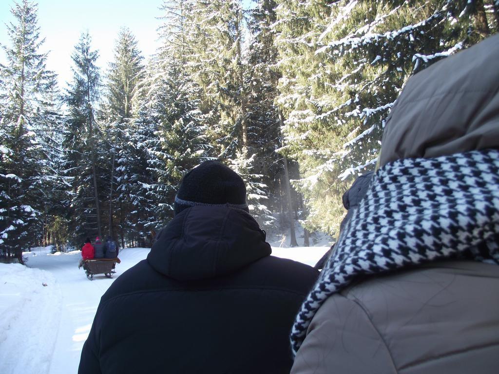 Cabana Piatra Runcului Vatra Moldoviţei エクステリア 写真