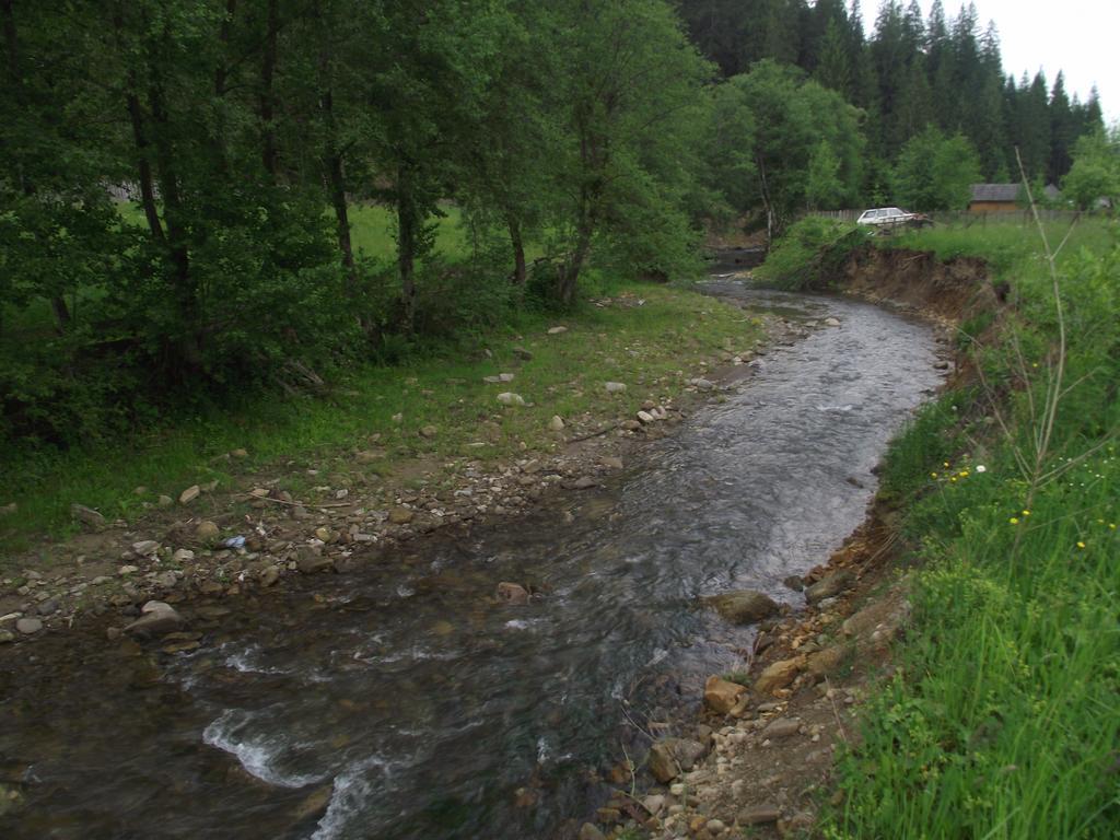 Cabana Piatra Runcului Vatra Moldoviţei エクステリア 写真