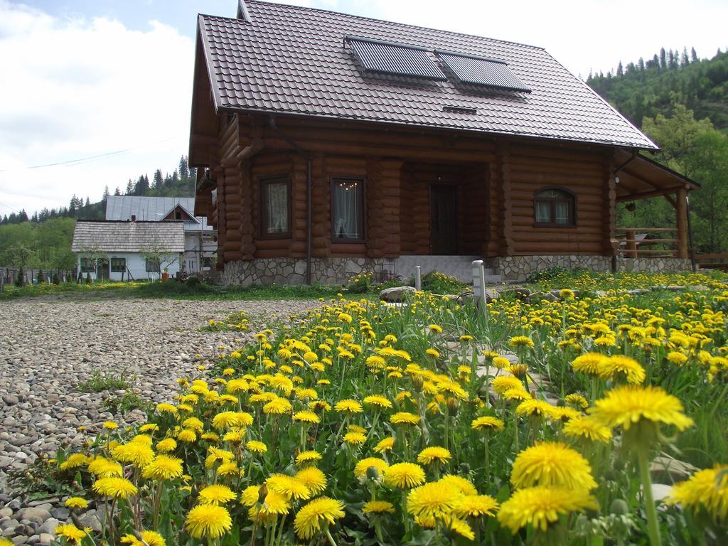 Cabana Piatra Runcului Vatra Moldoviţei エクステリア 写真