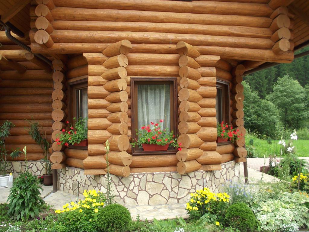 Cabana Piatra Runcului Vatra Moldoviţei エクステリア 写真