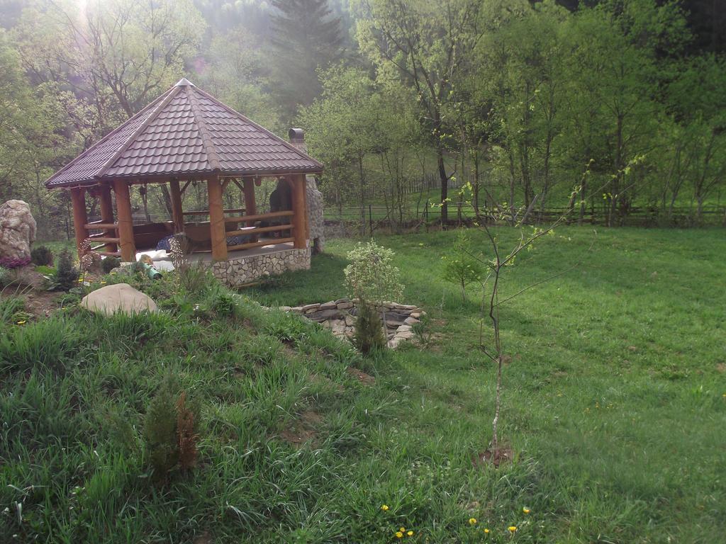 Cabana Piatra Runcului Vatra Moldoviţei エクステリア 写真